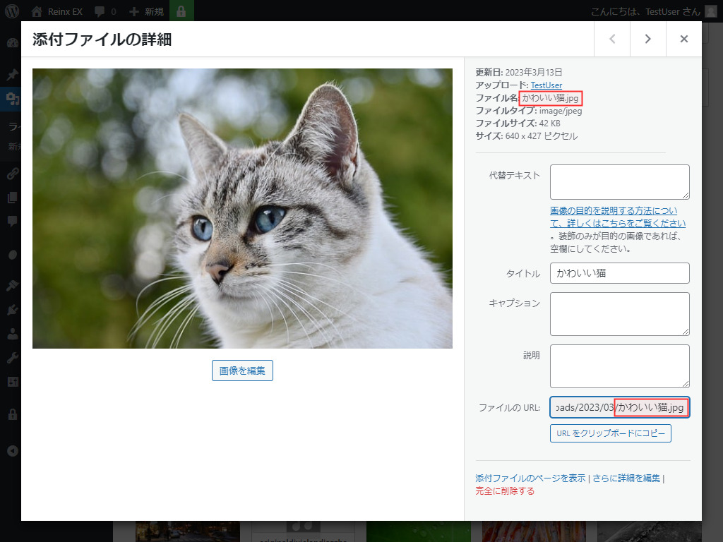 日本語ファイル名の画像